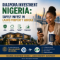 diaspora investment nigeria safely invest in lagos property 1780359988 85x85